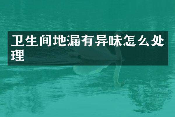 卫生间地漏有异味怎么处理