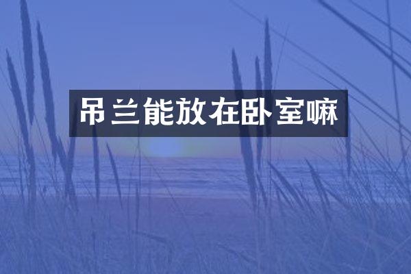 吊兰能放在卧室嘛