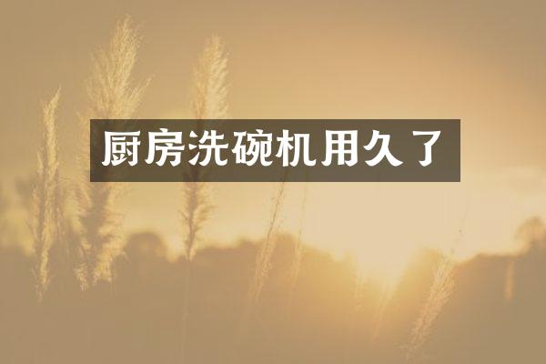 厨房洗碗机用久了