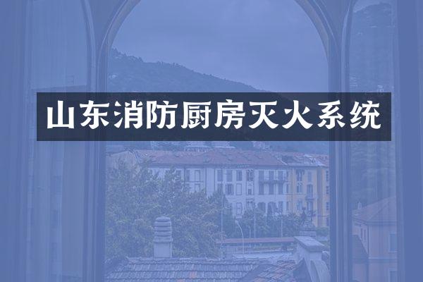 山东消防厨房灭火系统