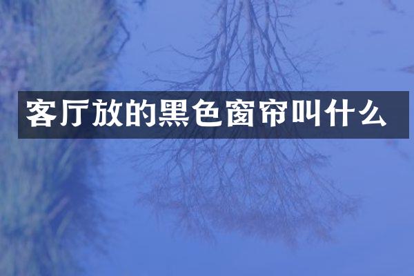 客厅放的黑色窗帘叫什么