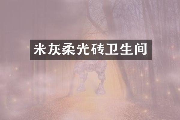 米灰柔光砖卫生间