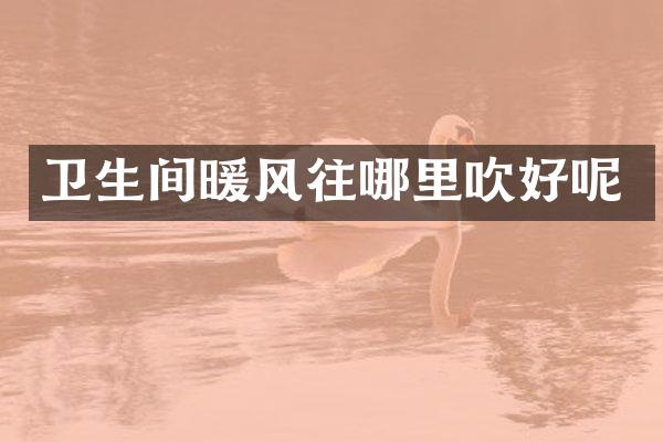 卫生间暖风往哪里吹好呢