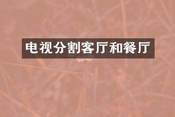 电视分割客厅和餐厅