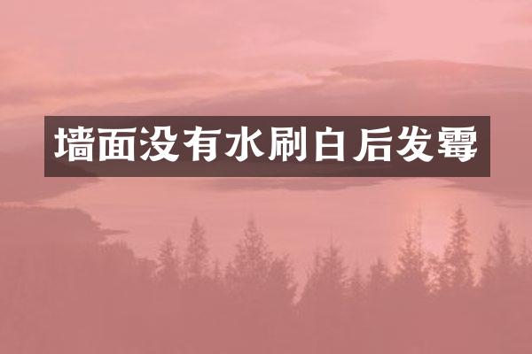 墙面没有水刷白后发霉