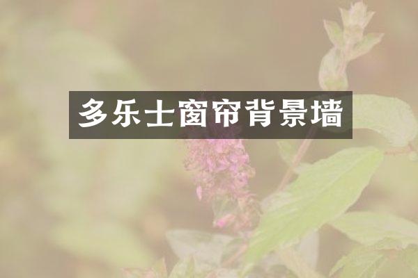 多乐士窗帘背景墙