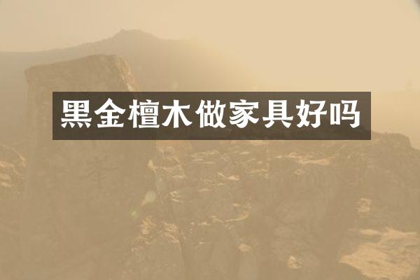 黑金檀木做家具好吗