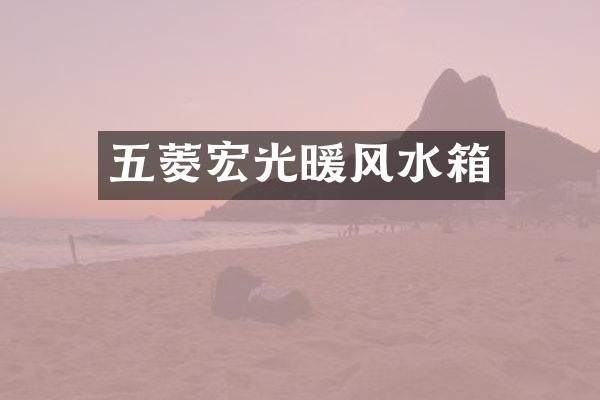 五菱宏光暖风水箱
