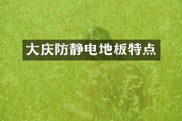 大庆防静电地板特点