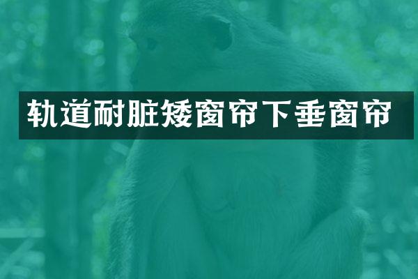 轨道耐脏矮窗帘下垂窗帘