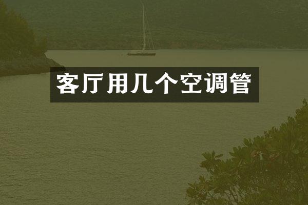 客厅用几个空调管