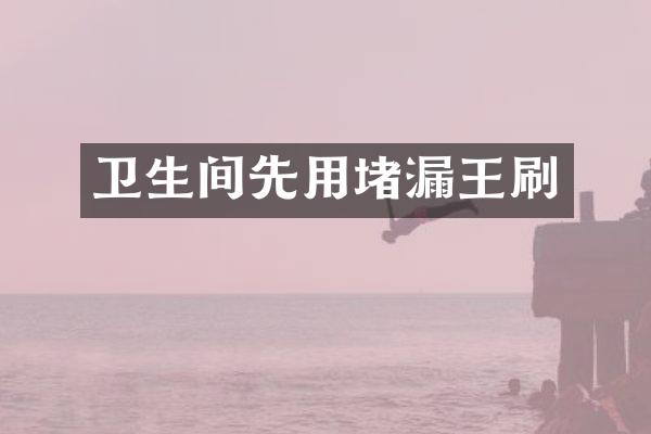 卫生间先用堵漏王刷