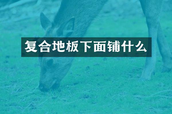 复合地板下面铺什么