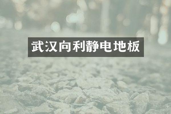 武汉向利静电地板