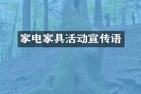 家电家具活动宣传语