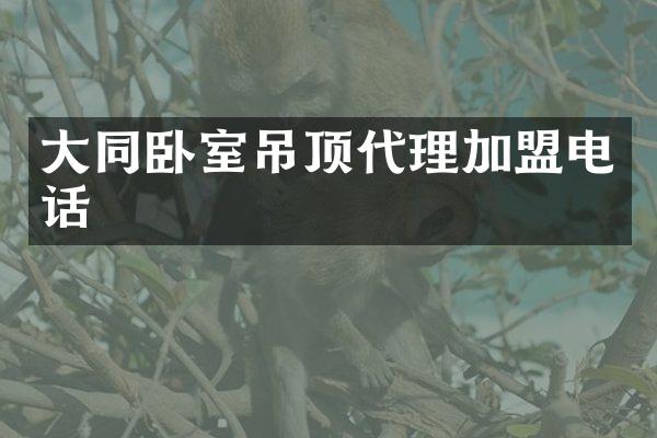 大同卧室吊顶代理加盟电话