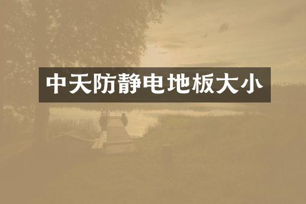 中天防静电地板大小