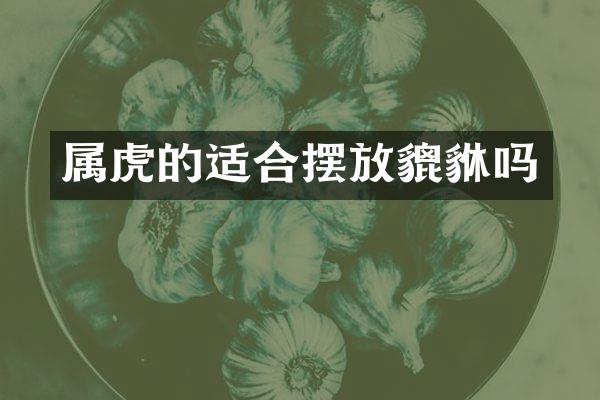 属虎的适合摆放貔貅吗