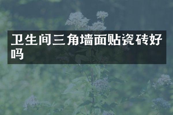 卫生间三角墙面贴瓷砖好吗