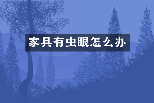 家具有虫眼怎么办