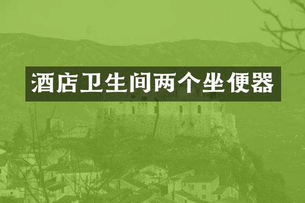 酒店卫生间两个坐便器