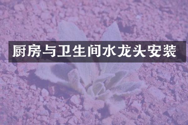 厨房与卫生间水龙头安装