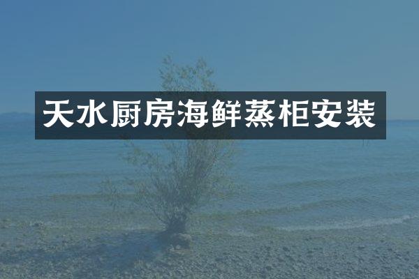 天水厨房海鲜蒸柜安装