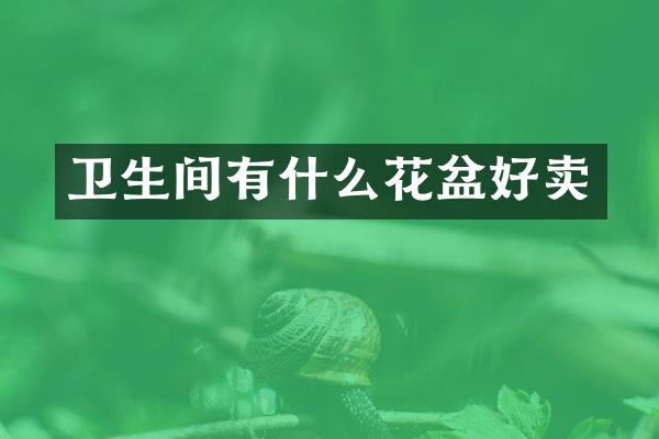 卫生间有什么花盆好卖