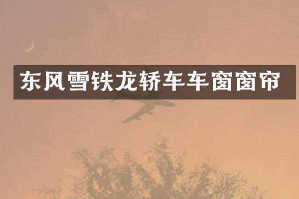 东风雪铁龙轿车车窗窗帘