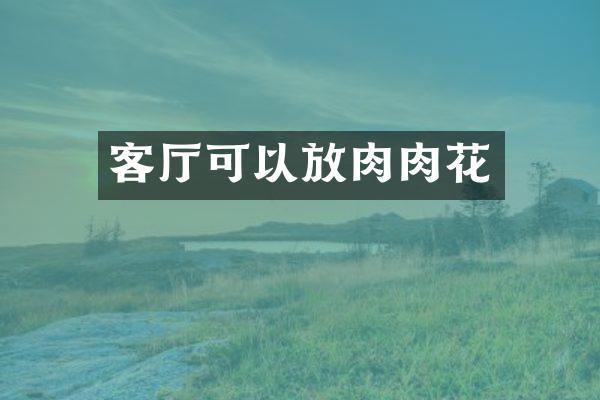 客厅可以放肉肉花