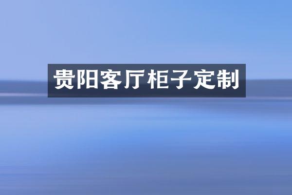 贵阳客厅柜子定制