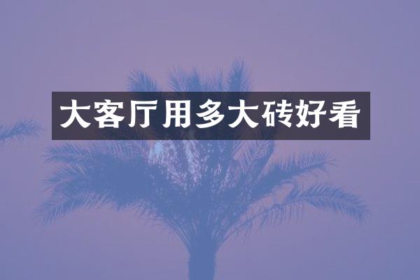 大客厅用多大砖好看