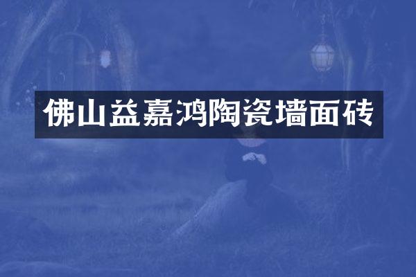 佛山益嘉鸿陶瓷墙面砖