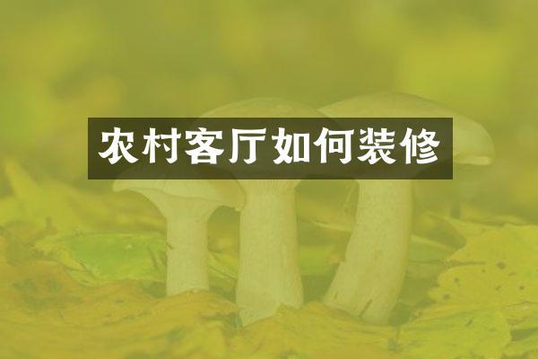 农村客厅如何装修