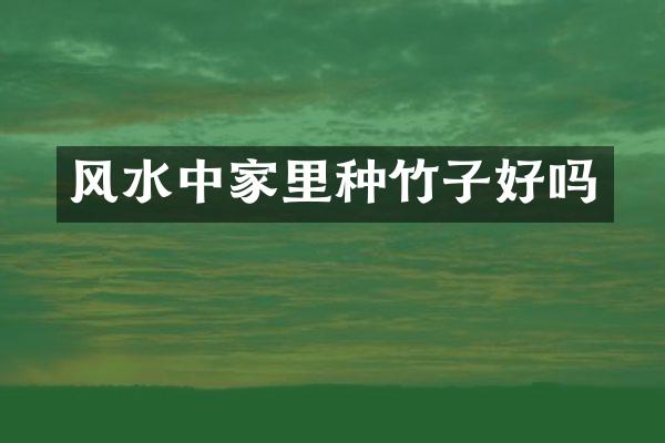风水中家里种竹子好吗