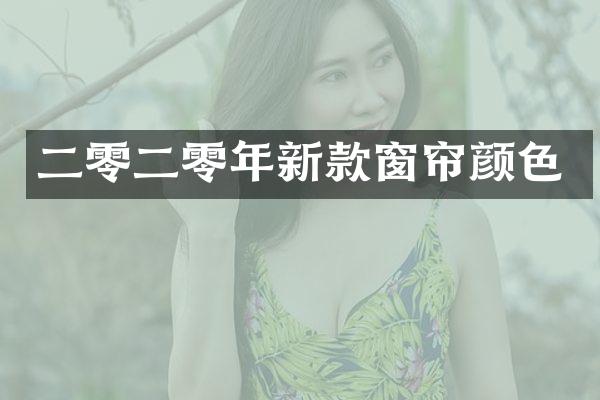 二零二零年新款窗帘颜色