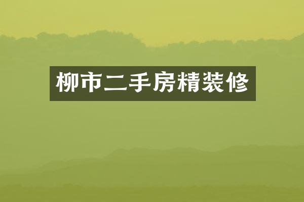 柳市二手房精装修