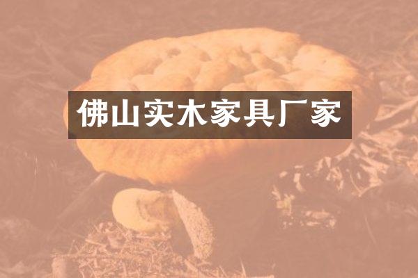 佛山实木家具厂家
