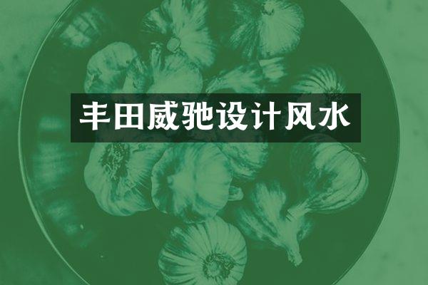 丰田威驰设计风水