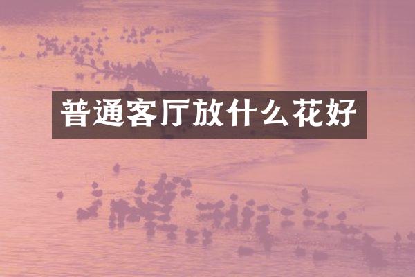 普通客厅放什么花好