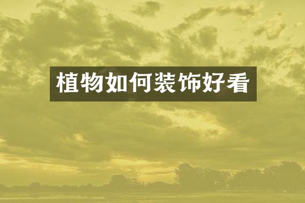 植物如何装饰好看