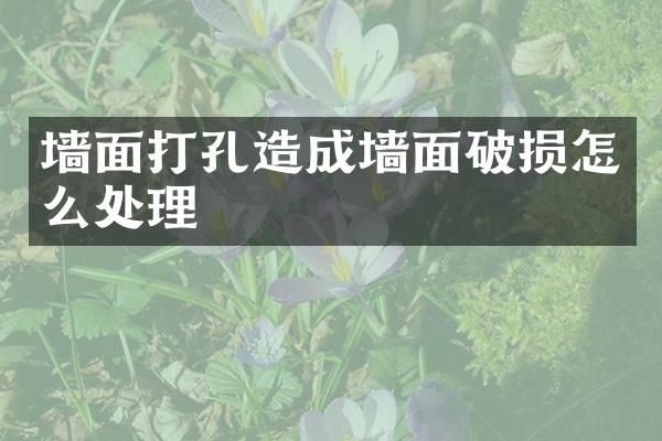 墙面打孔造成墙面破损怎么处理