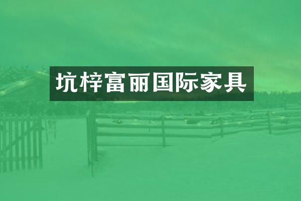 坑梓富丽国际家具