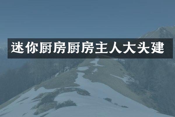 迷你厨房厨房主人大头建