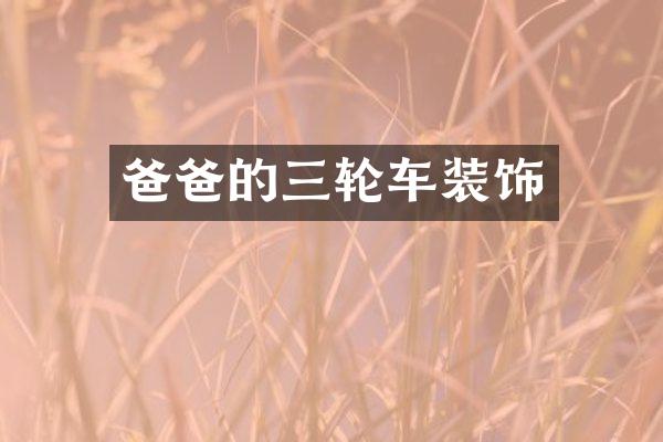 爸爸的三轮车装饰