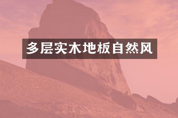 多层实木地板自然风