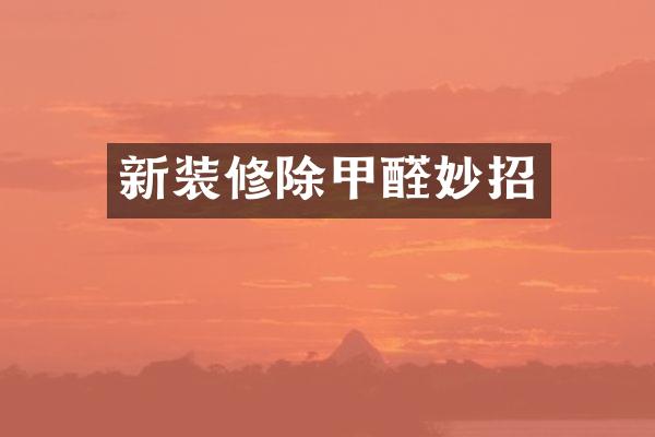 新装修除甲醛妙招