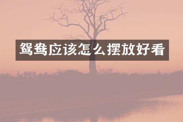 鸳鸯应该怎么摆放好看