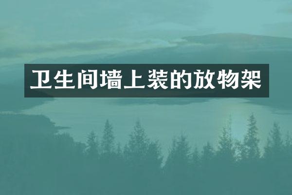 卫生间墙上装的放物架