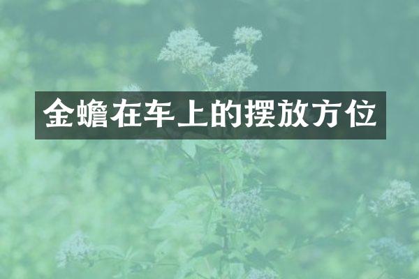 金蟾在车上的摆放方位